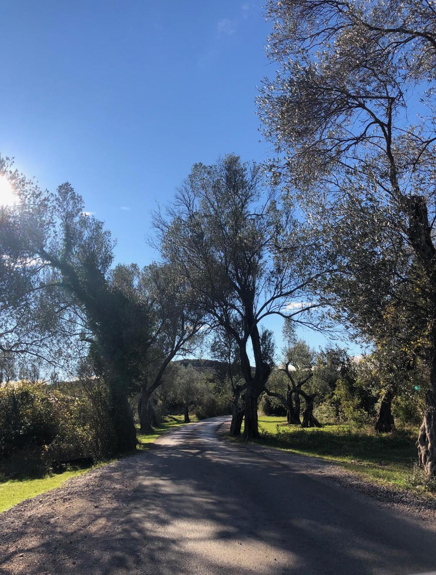 Klinci Village Resort المظهر الخارجي الصورة